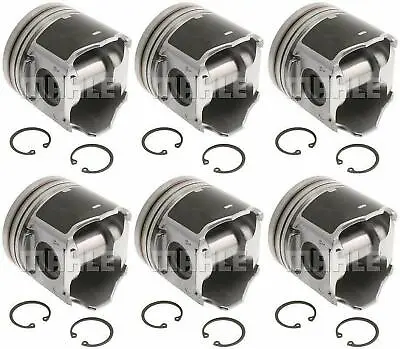 .020  Mahle Set Pistons Fits 2004.5-09 Dodge Cummins 5.9L Diesel VIN C 24V • $669.99