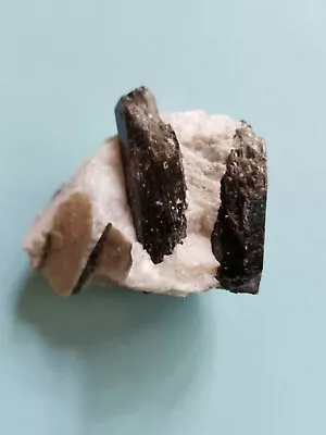 Black Tourmaline Crystals On Feldspar - Maine • $10