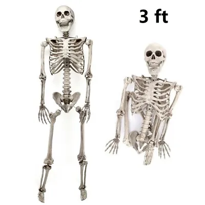 2Pack 3ft Life Size Poseable Skeleton Human Bone Structure Halloween Party Decor • $49.99
