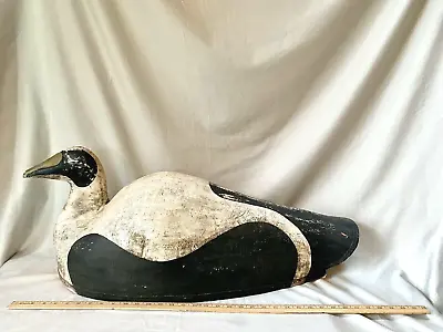 Oversized Canvas Eider Duck Decoy Made By Joe Neal Of Woolwich Maine • $500