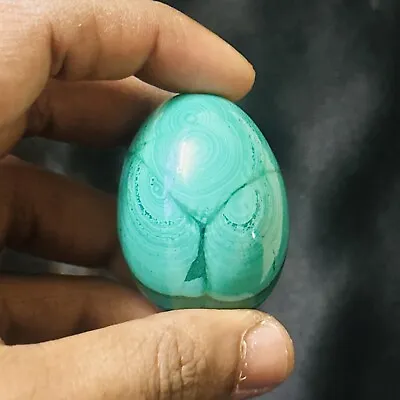 Beautiful Green Malachite Egg Wonderful Markings For Healing - 96 Gms - MAL02 • $40