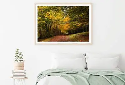 Autumn Forest Mount View Pollino Print Premium Poster High Quality Choose Sizes • $31.90