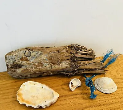 £3.99 • Buy SEA DRIFTWOOD JOB LOT Rope Beach Shell Carve Fish  Art Craft Sculpture Coastal