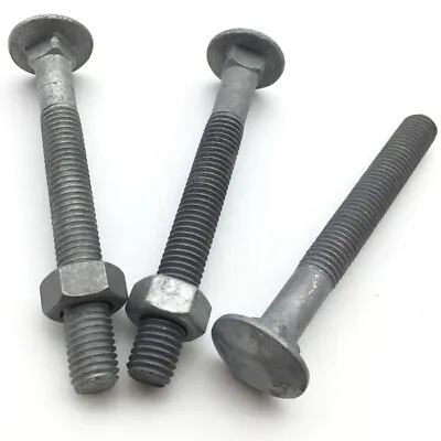 M8 Hot Dipped Galvanised Coach Bolt Cup Hex Mushroom Head Carriage Bolt FREE NUT • £2.29