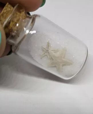 Miniature 1 1/2 Glass Bottle With White Sand And 2 Small Star Fish • $4.99