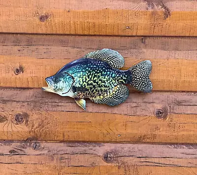 Black Crappie Replica Open Mouth 2D Flat Metal Rustic Cabin Decor • $55