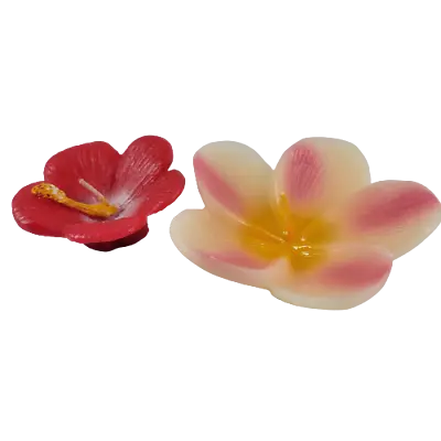 Pink Plumeria & Red Hibiscus Scented Floating Candles Set Of 2 Forever Flora • $11.95