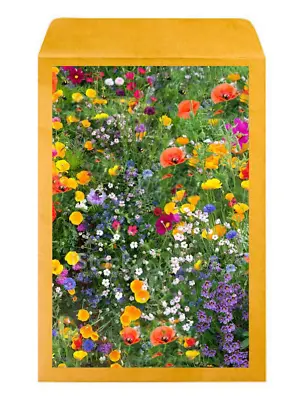 500 Mix Seeds WILD FLOWER MEADOW Wild Scented Bee Mixed Meadow NO GRASS England • £2.29