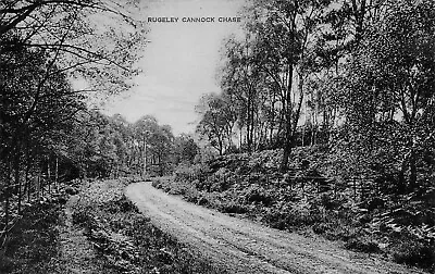 £2.50 • Buy Rugeley, Cannock Chase ~ An Old Real Photo Postcard #2239104