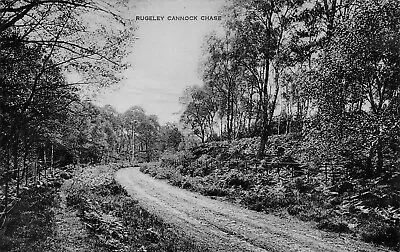 Rugeley Cannock Chase ~ An Old Real Photo Postcard #2239104 • £2.50