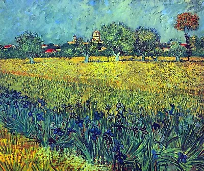 View Of Arles With Irises By Vincent Van Gogh Giclee Fine Art Repro On Canvas • $49.95