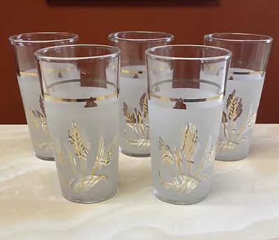 5 Vintage Coveira Italian Glasses Frosted Gold Wheat Design MCM Retro 4 3/4  • $32