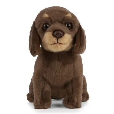 Living Nature Dachshund Puppy An446 Soft Cuddly Stuffed Plush Toy Sausage Dog • £15.99