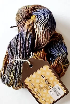 Araucania Wool Silk Yarn 1 Skein Variegated Colors  • $14.95