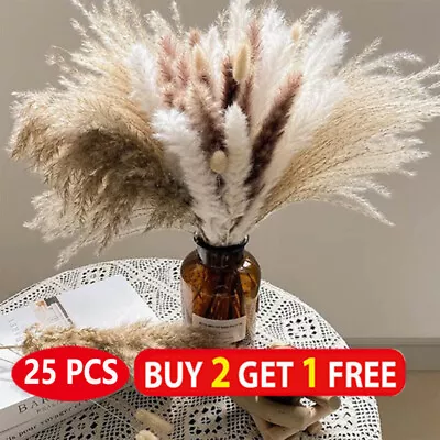 25PCS Natural Dried Pampas Grass Reed Flower Bunch DIY Flower Home Decor UK • £5.99