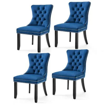 $498 • Buy AADEN Bravo Set Of 4 Velvet Dining Chairs Solid Wood Stud Tufted Kitchen Chairs