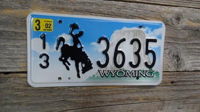 $4.99 • Buy Wyoming Cowboy 2002 Bucking Horse Devils Tower Passenger Embossed License Plate!