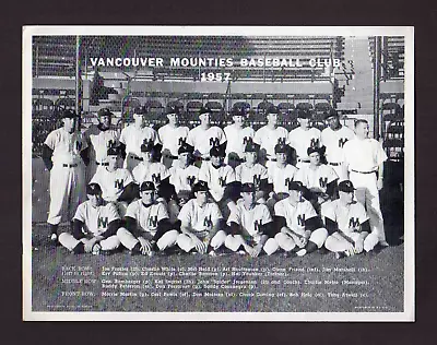 Original 1957 Vancouver Mounties Pcl Baseball Club Team 9.75 X 7.375 Photo Card • $50