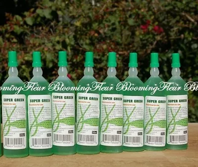 8 Bottles SUPER Green All Purpose PLANT FOOD Lucky Bamboo (36 Ml Bottles) NEW  • $14.99