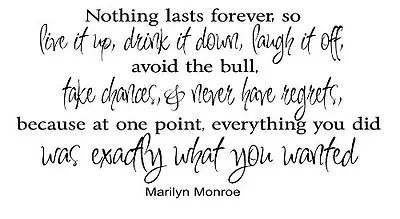 NOTHING LASTS FOREVER MARILYN MONROE Wall Decal Vinyl Quote Lettering Words 24  • $18.52