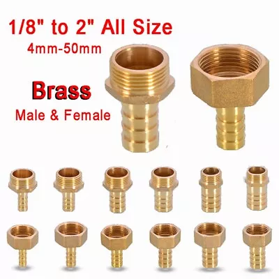 BSP Brass Male/Female Thread Fitting X Barb Hose Tail End Connector 1/8  To 2  • £3.18