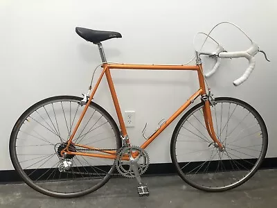 1981 Viner Record Racing 61cm Full Campagnolo - Low Production! Columbus SL Tube • $615