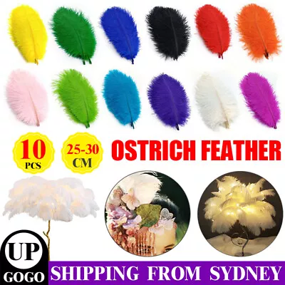 10Pcs Ostrich Feathers 25-30cm 12 Colours Craft Cake Wedding Party Decoration AU • $9.45