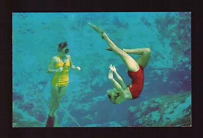 Postcard : Florida - Weeki Wachee Fl - Spring Of The Mermaids - Two Mermaids • $5.49