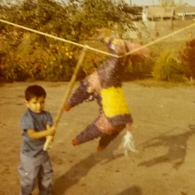 1T Photograph Boy Swinging Stick Hitting Donkey Horse Pinata 1970 • $14.50