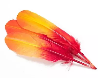 Yellow-Orange Turkey Feather Wing Rounds Regalia Pow Wow Smudge Headdress 12 Pc • $16.99