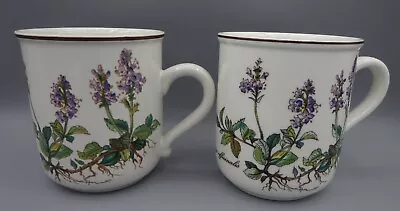 3 Villeroy & Boch Coffee Mugs - Botanica Pattern - Ex Con • $25