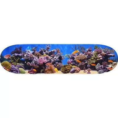 Mini Logo Skate Deck 7.75  Fish Tank • $59.99