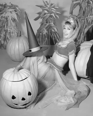 Barbara Eden With Witches Hat Halloween Pumpkin I Dream Of Jeannie 8x10 Photo • $14.99