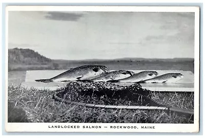 1940 Landlocked Salmon Moosehead Lake Rockwood Maine ME Vintage Antique Postcard • $29.95