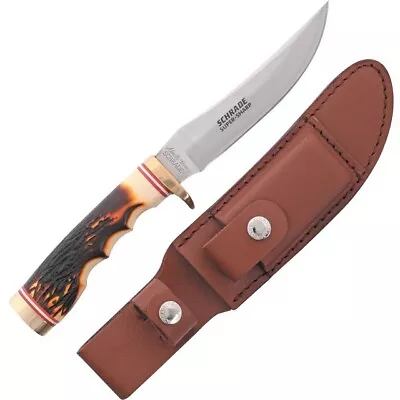 Uncle Henry 153UH Golden Spike Fixed Clip Blade Knife W/ Leather Sheath • $36.77