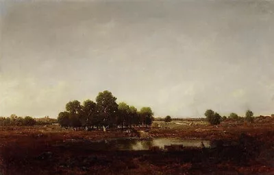 Perfect Oil Painting Handpainted On Canvas  Marsh Land @N19307 • $158