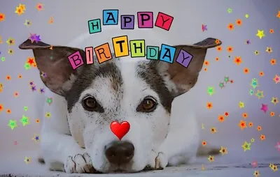 Jack Russell Terrier Happy Birthday Card Cards Blank Greeting Dog Dogs Pet Love • £3.39