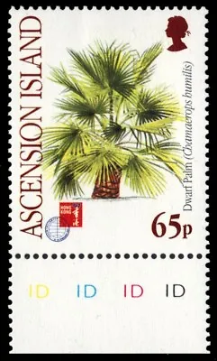 ASCENSION 668 (SG707) - Dwarf Palm  Chamaerops Humilis  (pb74060) • £2.19