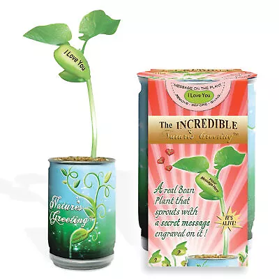 Magic Bean I Love You Leaf Plant In A Can • $14.99