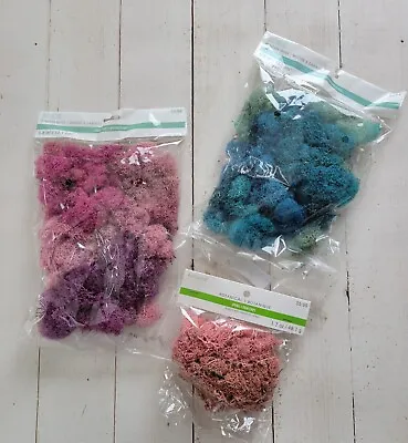 Ashland Botanical Dried Reindeer Moss - Floral - Wreath - Dyed Pink Blue Purple • $9.99