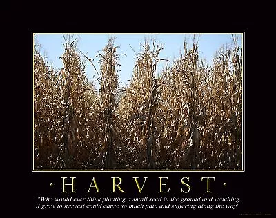 Farming Motivational Poster Art Print Poster Seed Corn Toy Tractor 11x14 MVP44 • $9.95