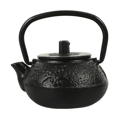 Metal Water Jug Small Tea Pot Cast Iron Tea Kettle Decorative Tea Kettle Office • £13.77