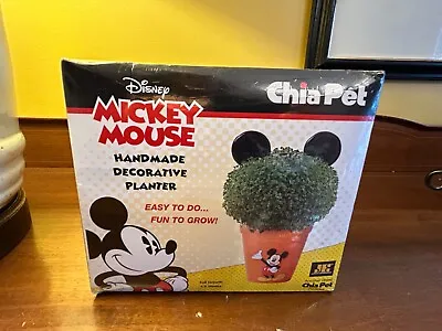 Disney Mickey Mouse Chia Pet Decorative Planter Brand New • $14.99