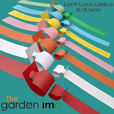 Loop Lock Plant Labels Professional Self Tie Garden Nursery ID Tags Small Large • £3.89