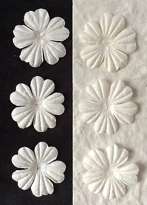 20 White Handmade Mulberry Paper Flowers Petals Wedding Cards Embellishments 1  • $1.79