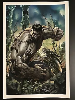 MARVEL GREY HULK COVER Art Print By MICHAEL TURNER Art Print SIGNED CIVIL WAR • $74.99