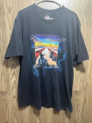 1995 Harley Davidson California XL Land Of The Free Coyote Cloud American Flag • $40