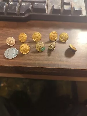 Nine Small Brass Military Buttons • $6.49