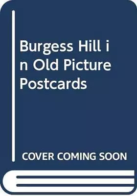 £35.59 • Buy Burgess Hill In Old Picture Postcards, Avery, Frederic 
