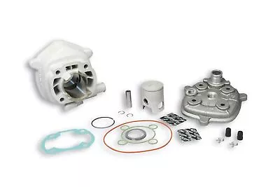 Malossi Aluminium Cylinder Kit 50cc Pin Diam.10 H2o Mhr For Nitro 50 2t Lc • $226.23